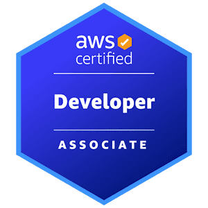 04.Developer