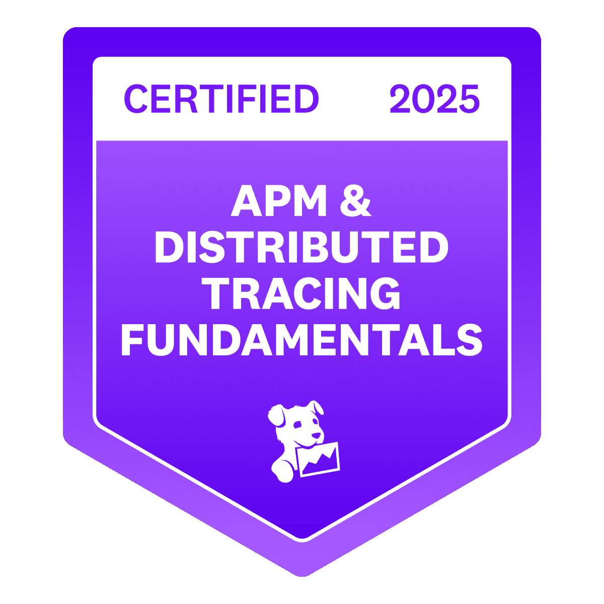 19.Datadog APM